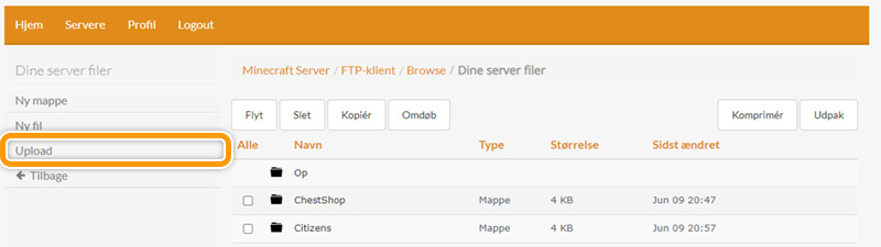 Upload en fil til din minecraft-server hos FlowServers